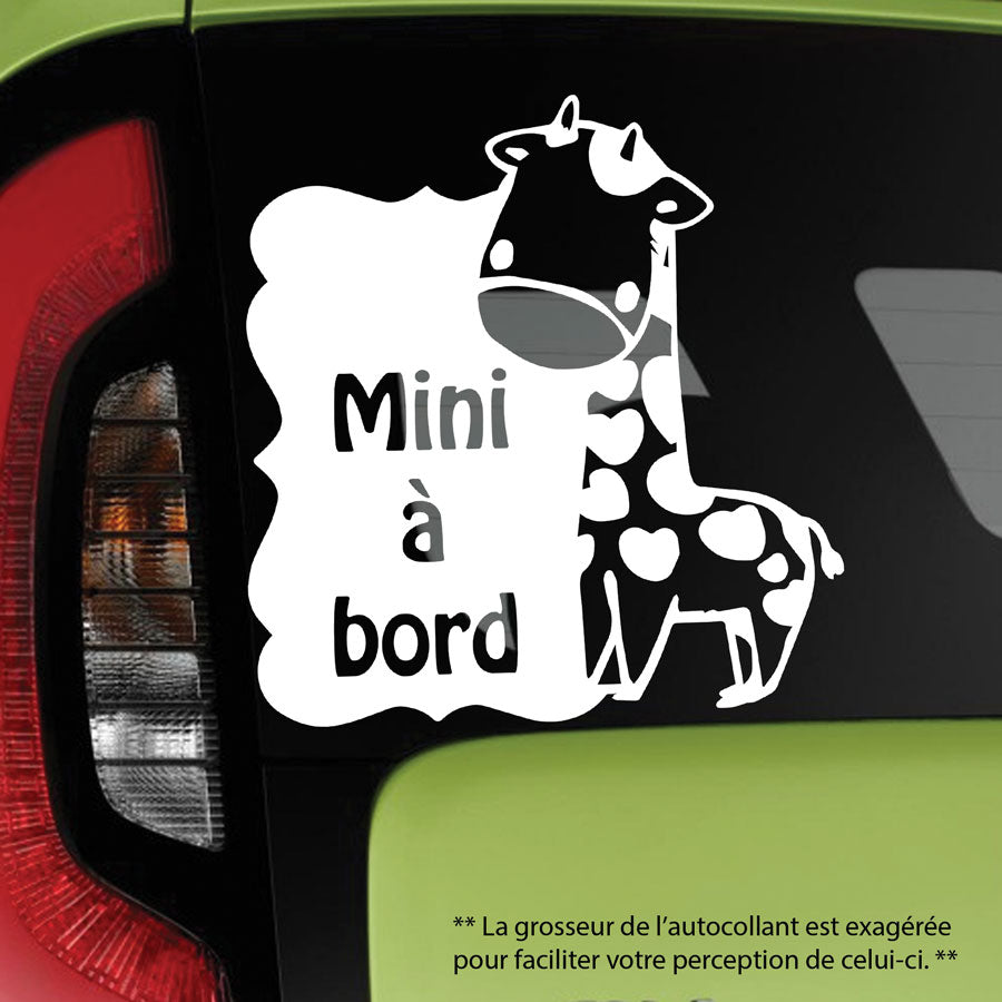 Baby on board