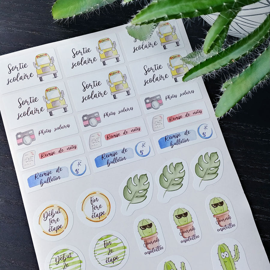 Pro education stickers