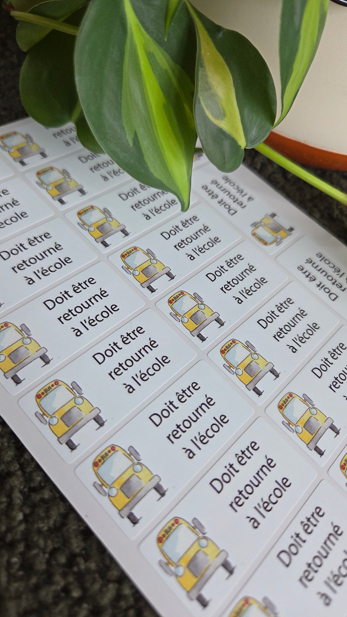 Autocollants gestion de classe